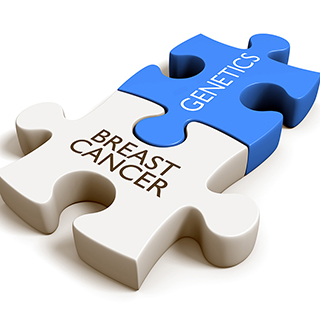 two puzzle pieces connecting the word Breast Cancer to Genetics