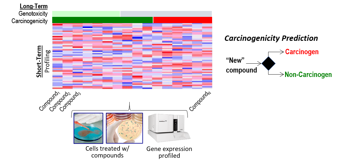 Simplified graphic illustrating how many different compounds can be tested in cells to collect gene expression profiles in a short amount of time.