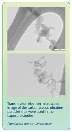 Transmission electron microscope image of carbonaceous ultrafine particles that were used in the exposure studies.