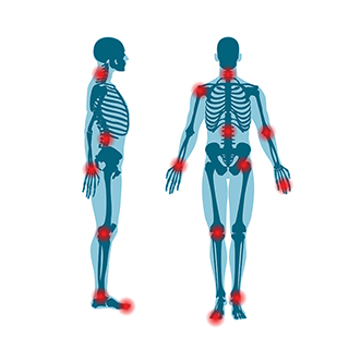 front and side view of human skeleton areas highlighted in red