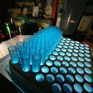 blue viles in a lab