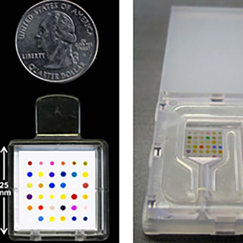 Thumbnail image for Electronic Sensor Technologies Are Focus of NIH's Genes, Environment and Health Initiative and NIEHS' Exposure Biology Program