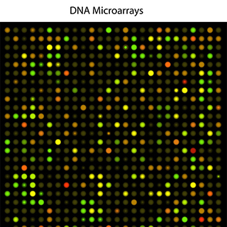 DNA microarrays