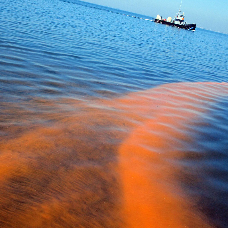 Thumbnail image for Red Tide Compounds May Treat Cystic Fibrosis