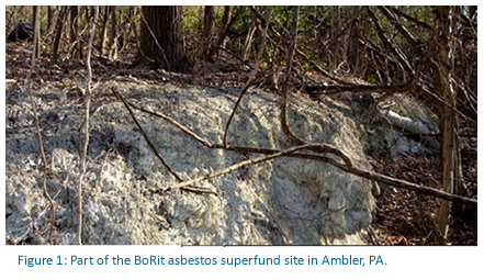 Figure 1: Part of the BoRit asbestos superfund site in Ambler, PA.