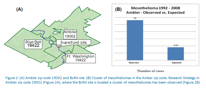 Figure 2: (A) Ambler zip code 19002 and BoRit site. (B) Cluster of mesotheliomas in the Amber zip code. Research Strategy in Ambler zip code 19002 (Figure 2A), where the BoRit site is located a cluster of mesotheliomas has been observed (Figure 2B).