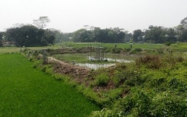 Figure 2: Pond with bamboo platform in center from which samples from 8 wells and 12 shallow pore water samplers are taken.