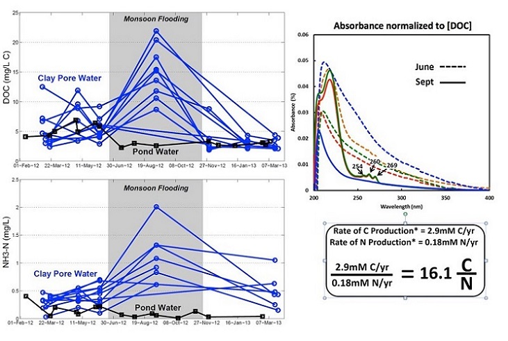 Figure 4: Graphing the seasonal variation in biogeochemical transformations in the underlying pond sediment.