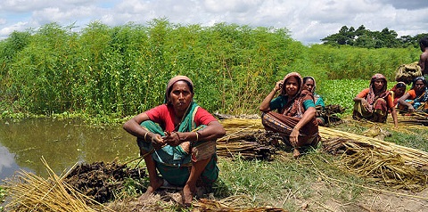 Field workers at one of the study sites in Bangladesh.
