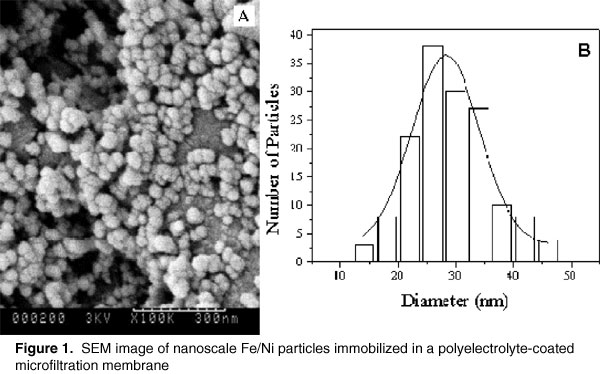 nanoscale Fe/Ni particles.