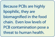 Because PCBs are highly lipophilic, they are biomagnified in the food chain. Even low levels of PCB contamination can pose a threat to human health