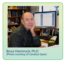 photo of Dr. BruceHammock