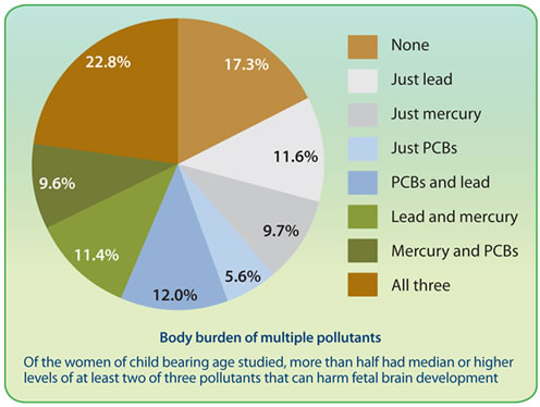 IPie chart Title: Body burden of multiple pollutants Caption: Of the women of child bearing age studied, more than half had median or higher levels of at least two of three pollutants that can harm fetal brain development Data: None - 17.3% Just lead - 11.6% Just mercury - 9.7% Just PCBs - 5.6% PCBs and lead - 12.0% Lead and mercury - 11.4% Mercury and PCBs - 9.6% All three - 22.8%