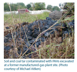 Photo of soil and coal tar contaminated with PAHs.