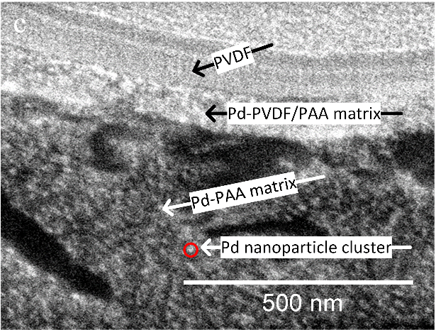A cross-section image of the Pd-PVDF membrane used at the cathode. 