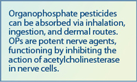Organophosphate pesticides can be absorbed via inhalation, ingestion, and dermal routes. OPs are potent nerve agents, functioning by inhibiting the action of acetylcholinesterase in nerve cells.