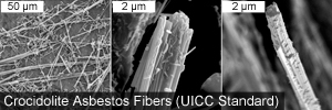 crocidolite asbestos fibers (UICC standard).