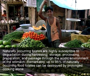 Image of vegetables in an open air market with the caption: Naturally occurring folates are highly susceptible to degradation during harvesting, storage, processing, preparation, and passage through the acidic environment of the stomach.  Remarkably, up to 95% of naturally occurring food folates can be destroyed by prolonged cooking alone.
