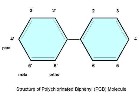 diagram of the structure of a pcb molecule.