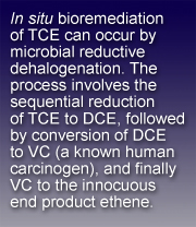 Text box stating: <i>In situ</i> bioremediation of TCE can occur by microbial reductive dehalogenation.  The process involves the sequential reduction of TCE to DCE, followed by conversion of DCE to VC (a known human carcinogen), and finally VC to the innocuous end product ethene.