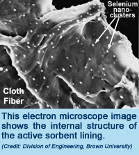 This electron microscope image shows the internal structure of the active sorbent lining.