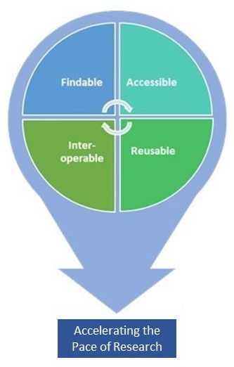 Findable, Accessible, Reusable, Interoperable, Accelerating the Pace of Research