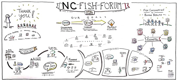 NC Fish Forum Whiteboard