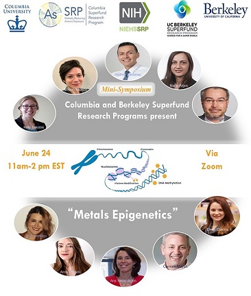Metals Epigenetics Symposium poster