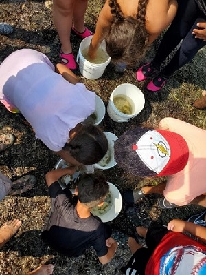 group of youth leaning over buckets of catch