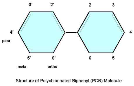 diagram of PCB molecule.